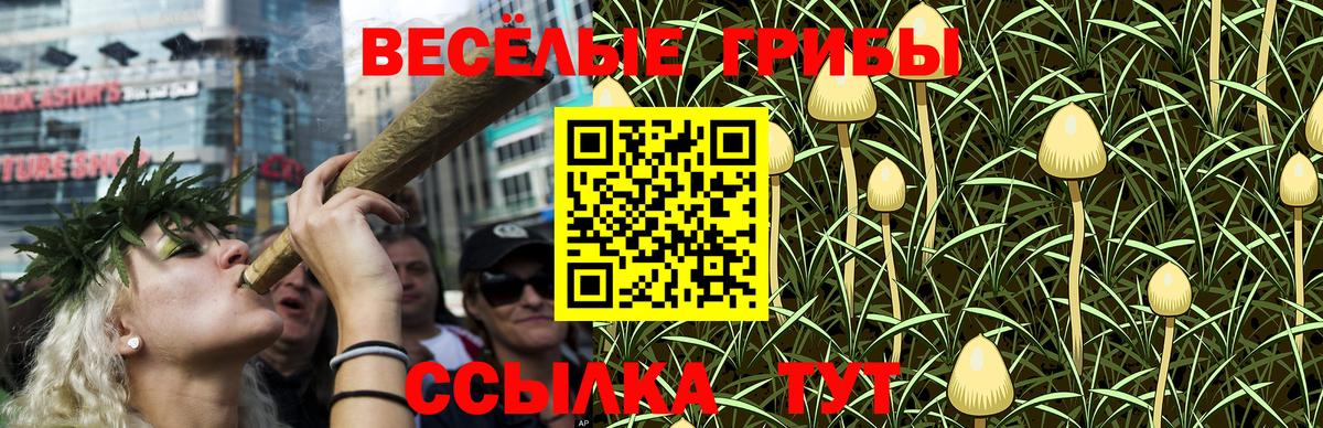 Барнаул  Псилоцибиновые грибы Psilocybe  Псилоцибиновые грибы Psilocybe  Вход с VPN 